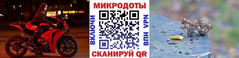 Псилоцибиновые грибы Cubensis  наркота  Кремёнки 