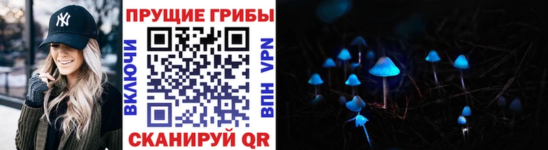 Галлюциногенные грибы Cubensis Кремёнки